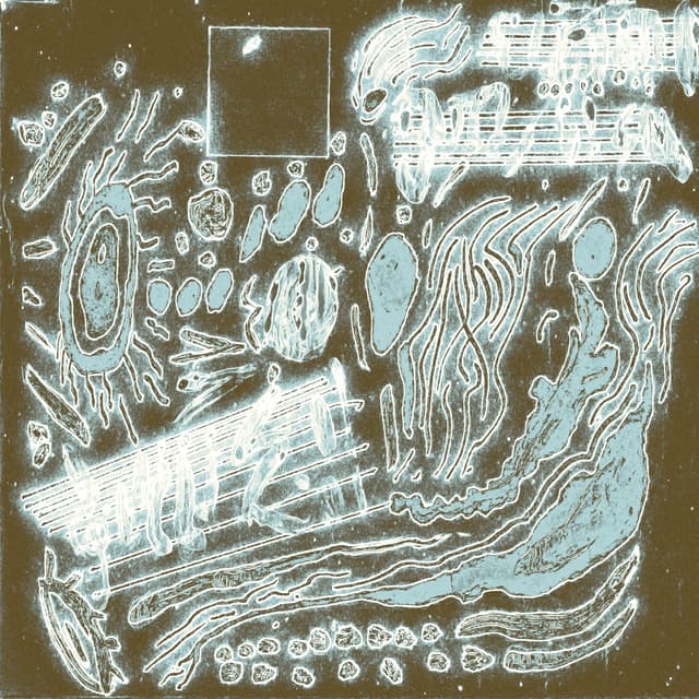 Record Cover