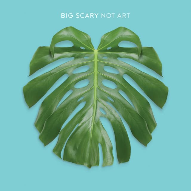 Record Cover
