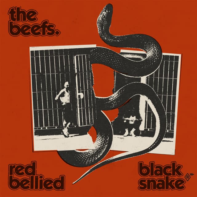 Record Cover
