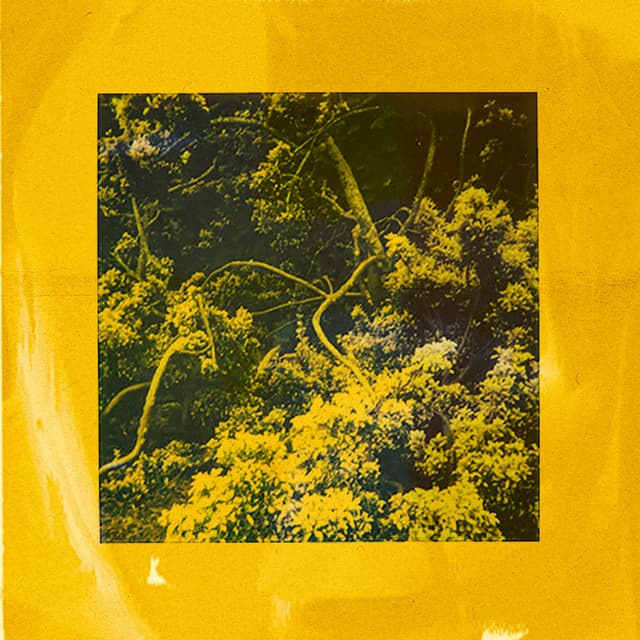 Record Cover