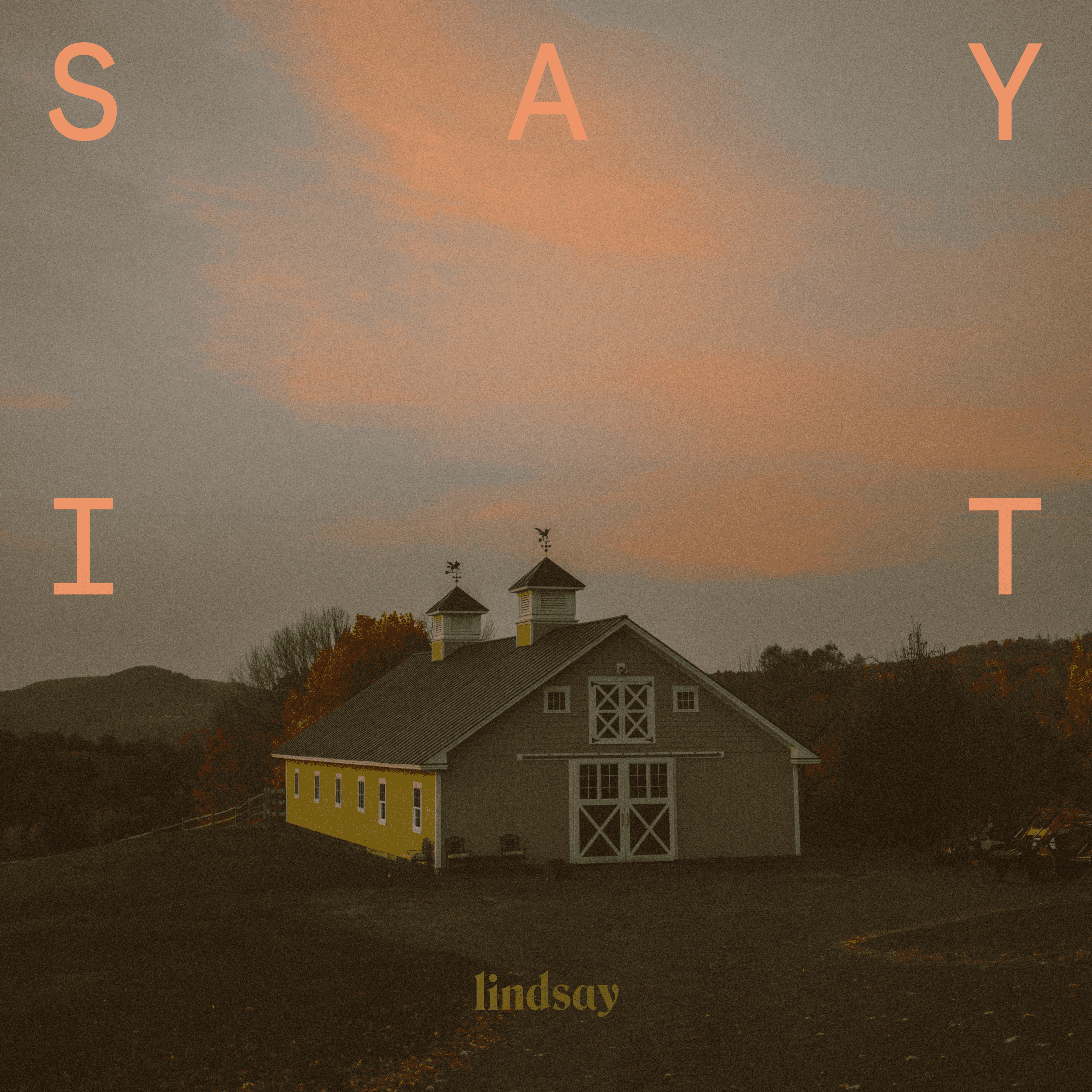 Say It cover artwork