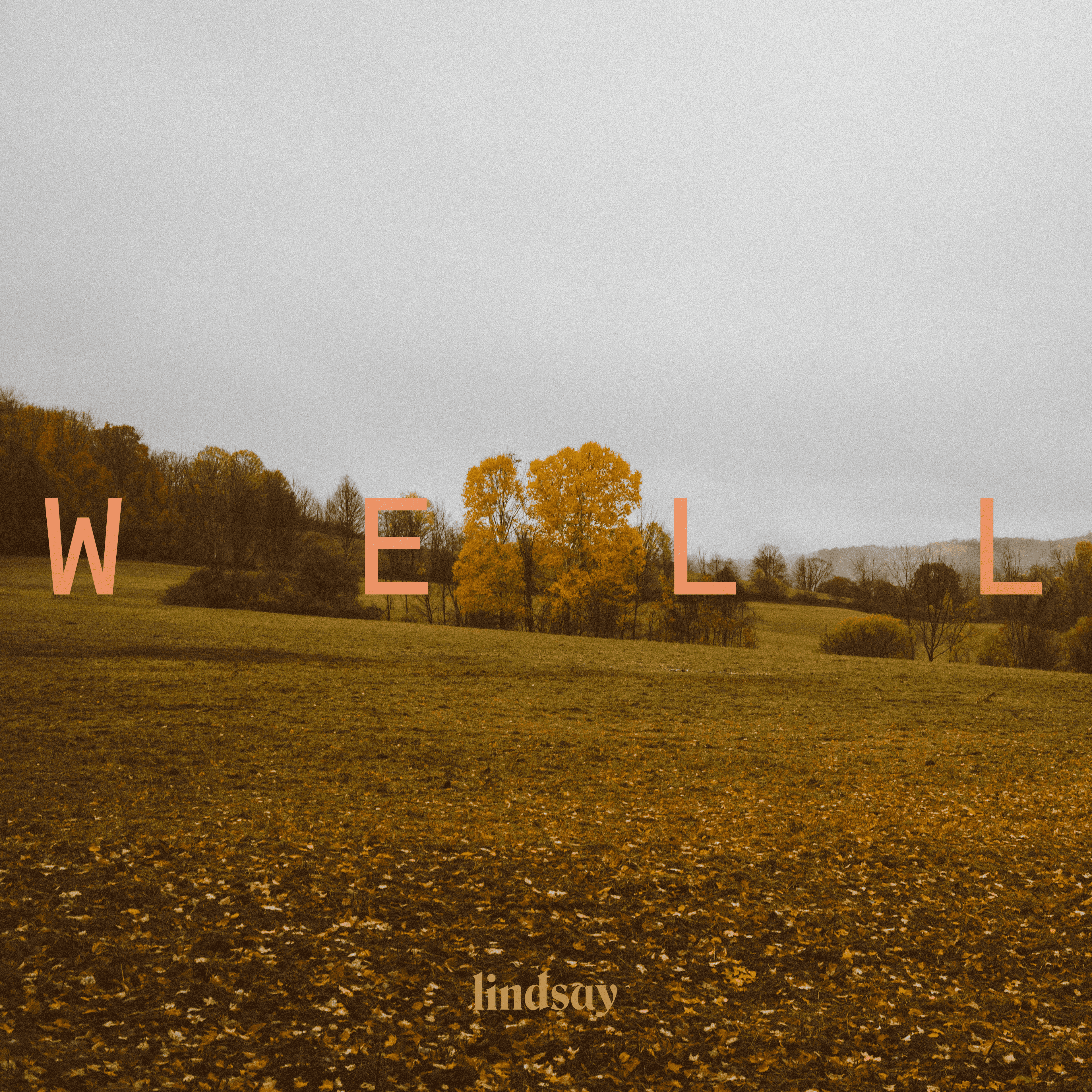 Well cover artwork