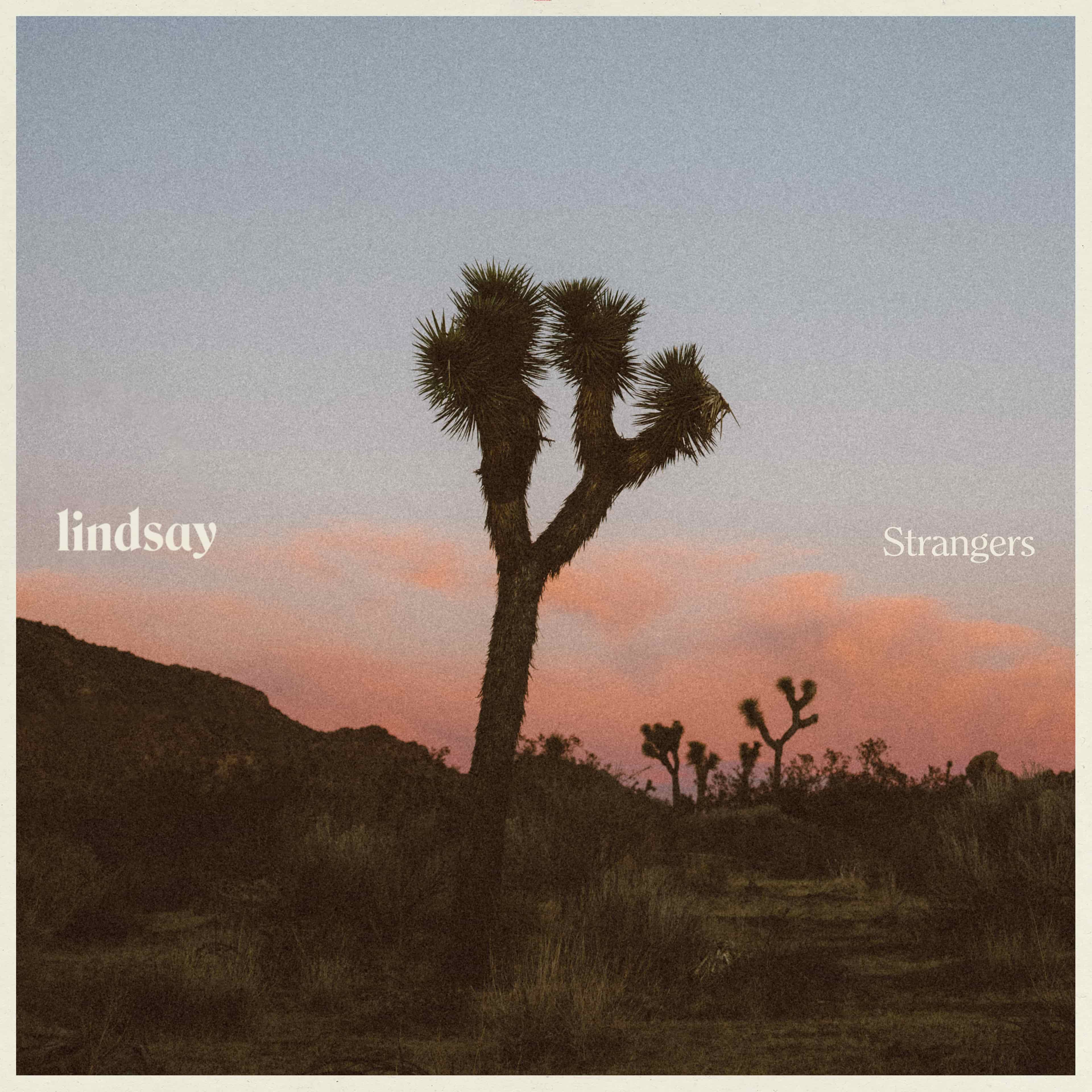 Strangers cover artwork